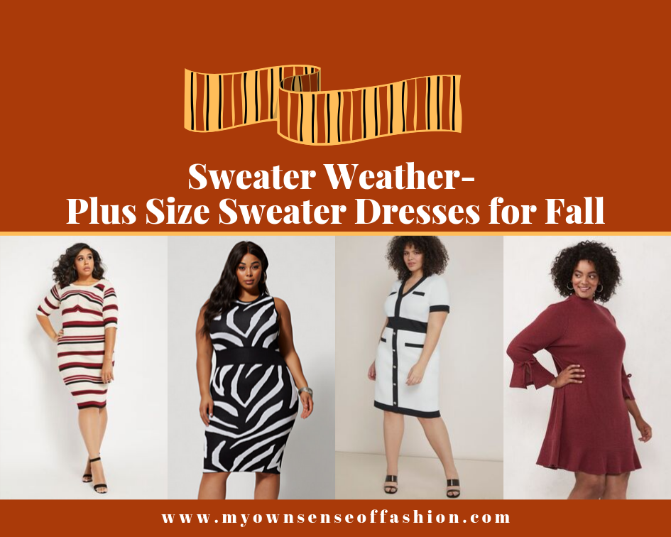 Sweater Weather- Plus Size Sweater Dresses for Fall - My Own Sense of  Fashion